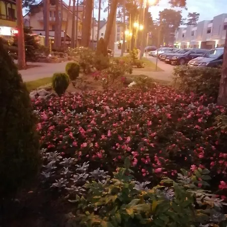 Lily - Baltic Park Pogorzelica (Gmina Rewal)