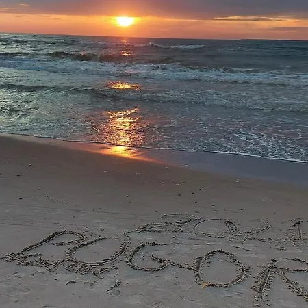 Lily - Baltic Park *