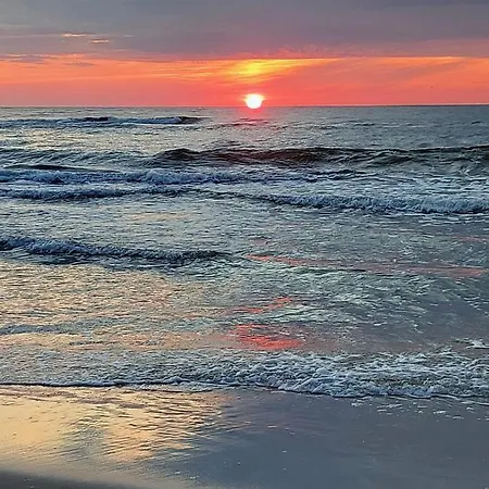 Lily - Baltic Park *