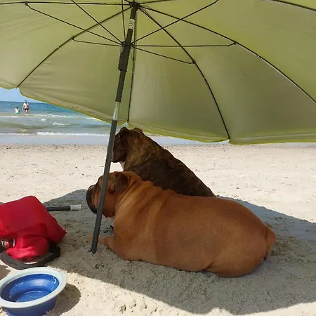 Lily - Baltic Park Lejlighed Pogorzelica (Gmina Rewal)