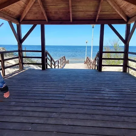 Lily - Baltic Park *